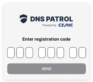 Entering the registration code on first launch.